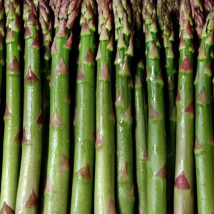 Mary Washington asparagus