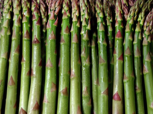 Mary Washington asparagus