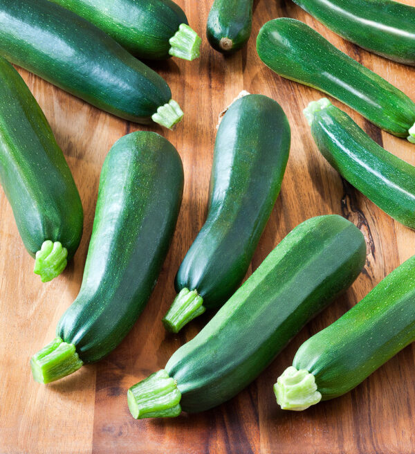 Black Beauty Zucchini Squash Seeds