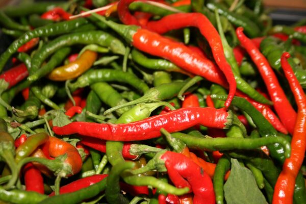 Cayenne Long Slim Pepper Seeds