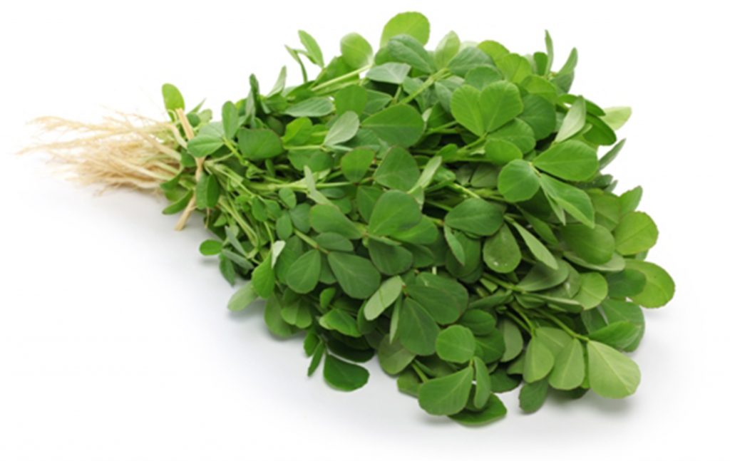 Fenugreek | Herbs as Medicine