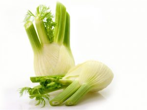About Florence Fennel
