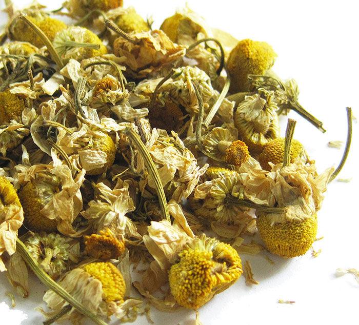 500+ German Chamomile Seeds Honest Seed Co.