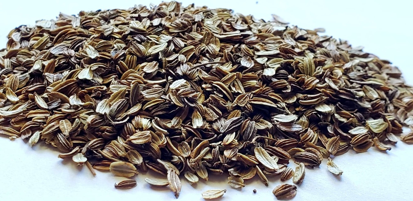 lovage herb seeds