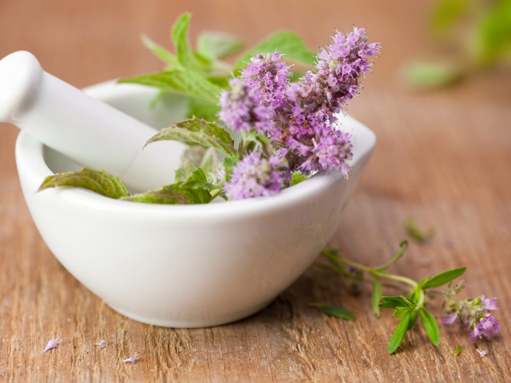 Medicinal Herbs that can help you