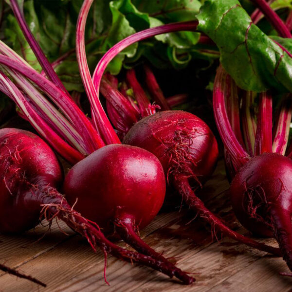 beet seeds