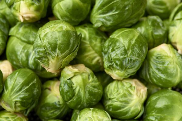 Brussel sprout seeds