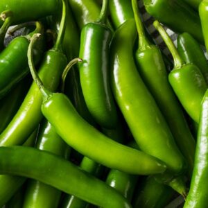 serrano pepper seeds