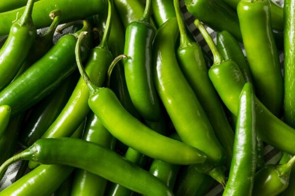 serrano pepper seeds