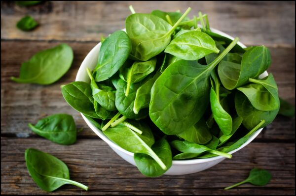 spinach seeds