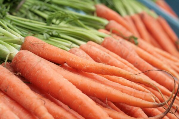 tendersweet carrot seeds