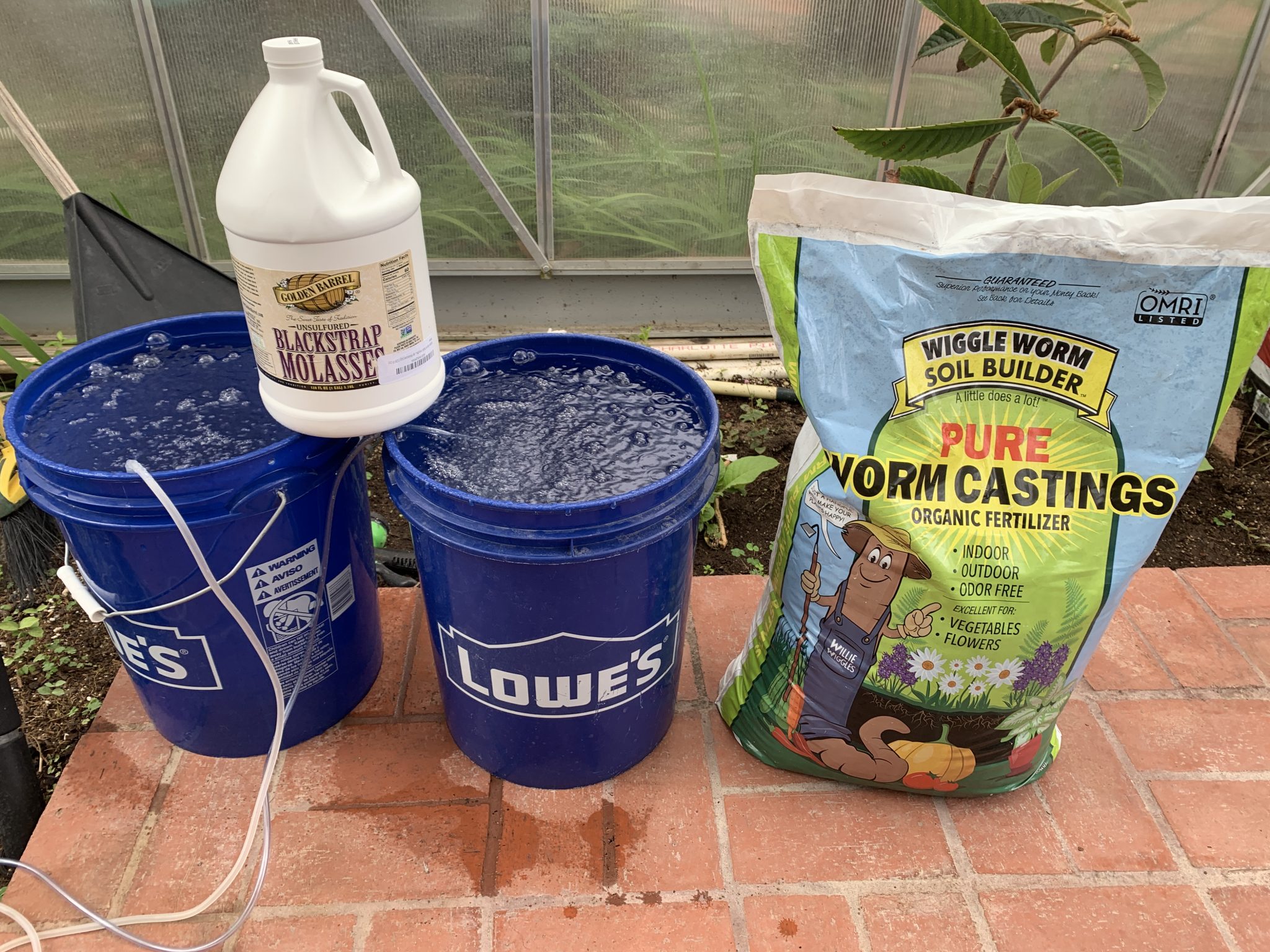 Make Your Own Compost/Worm Tea at Home Honest Seed Co.