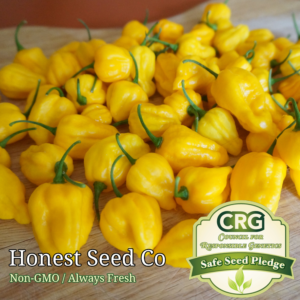 lemon yellow habanero pepper seeds