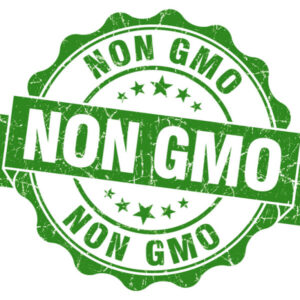 non-gmo corn seeds