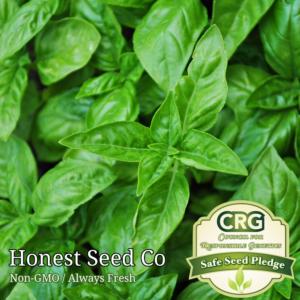 Genovese Basil Seeds