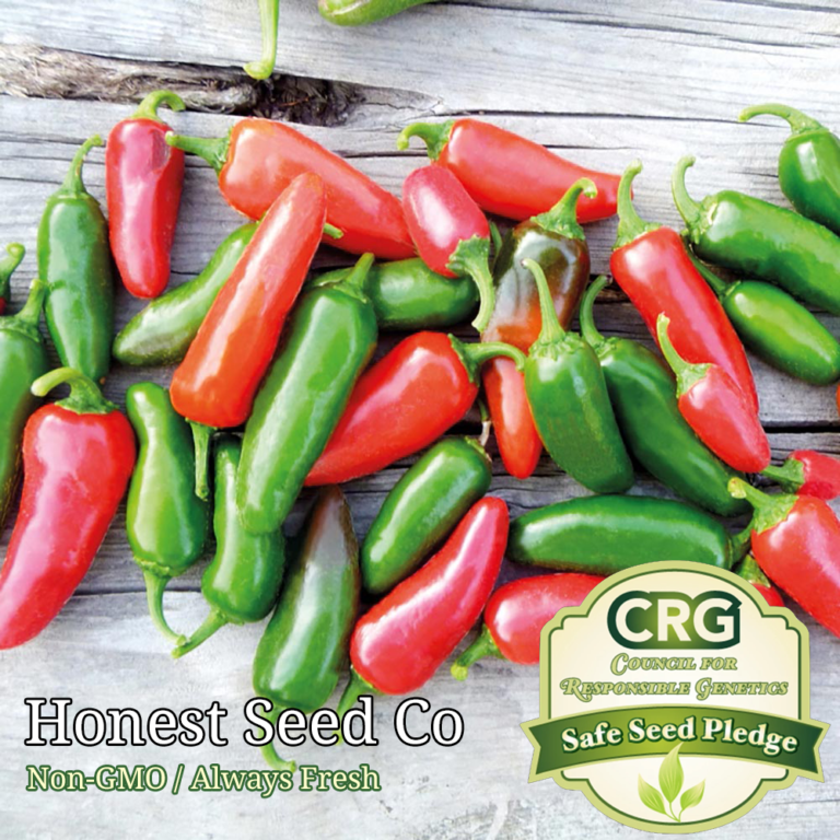 Early Jalapeno Seeds Honest Seed Co.