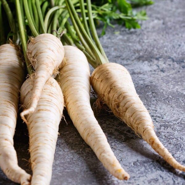 parsnip seeds