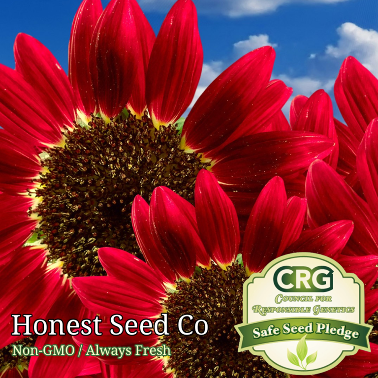 Vegetable, Herb, Fruit Garden Seeds NonGMO Honest Seed Co.