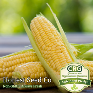 kandy corn sweet corn seeds