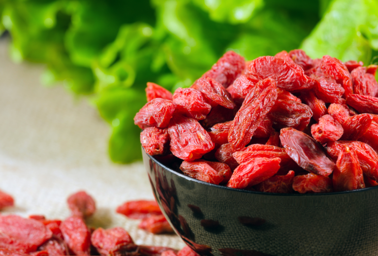 How to Grow Goji Berry Plant at home - Honest Seed Co.