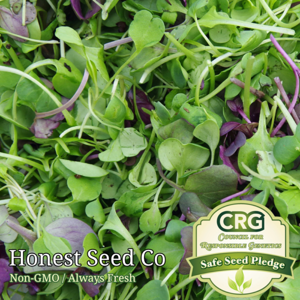 microgreen seeds salad mix