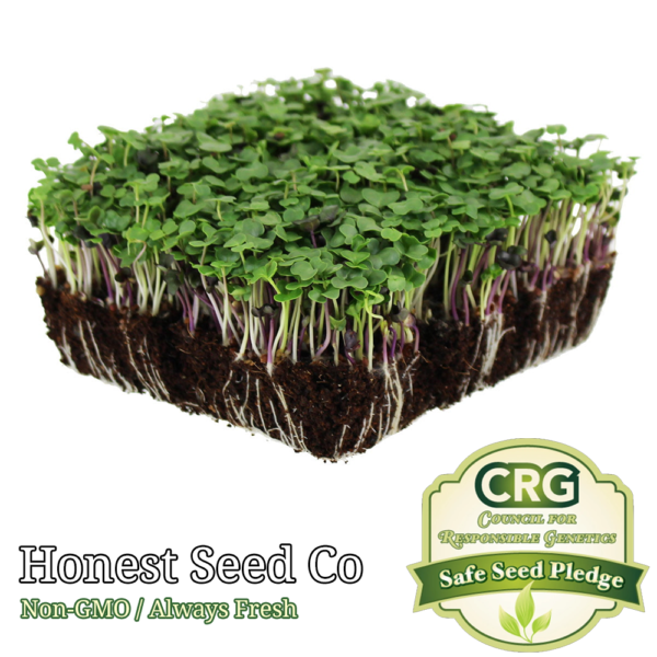 basic salad mix microgreen seeds