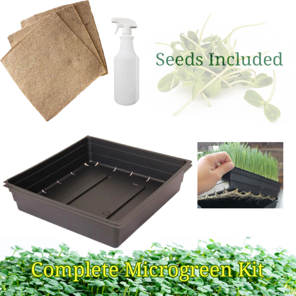 microgreen growing kit